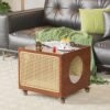GPPP-56009 Cat nest bedside tables and pets share the cat coffee table