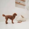 GPBD-19001 Pet Bed