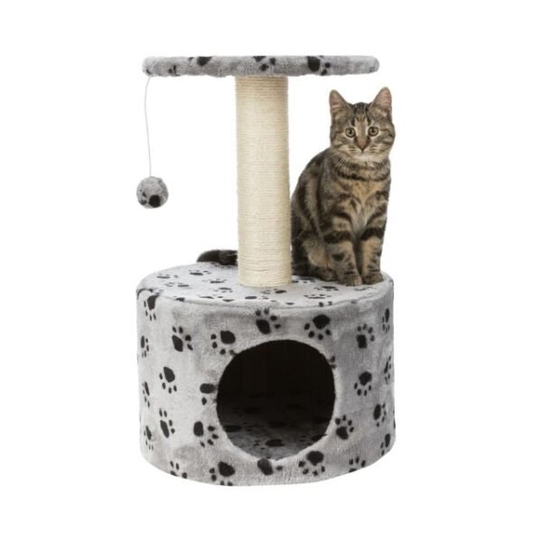 1_795c89b7-e77a-4180-a68f-54ac55d1d344.jpg Junior Cat Tree Toledo