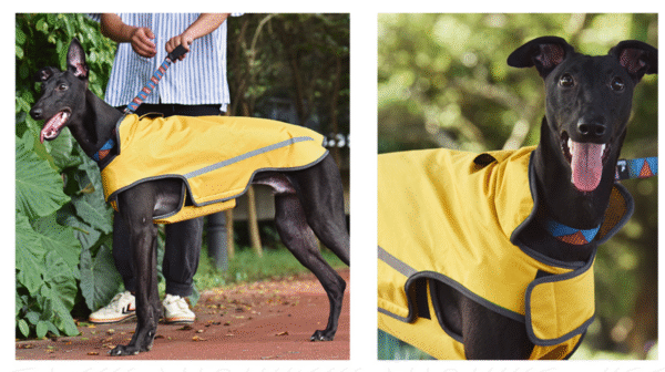 2deeacce-ff00-4804-b84a-dc8d8e7f4fb4 Sun Shower Reflective Lightweight Dog Raincoat (Yellow)