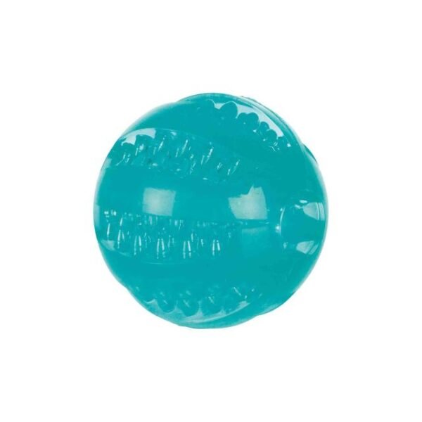 GPTD-72040 Trixie Denta Fun ball, mint flavour, TPR, ? 6 cm