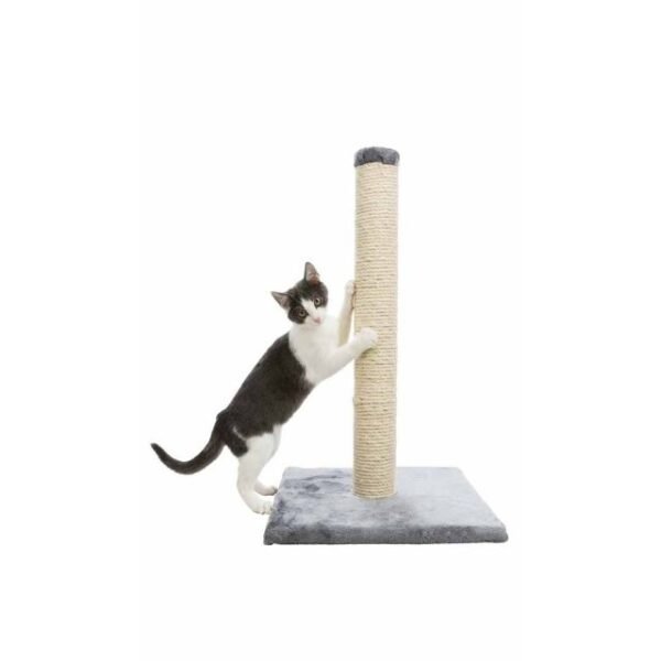 Trixie Parla Scratching Post