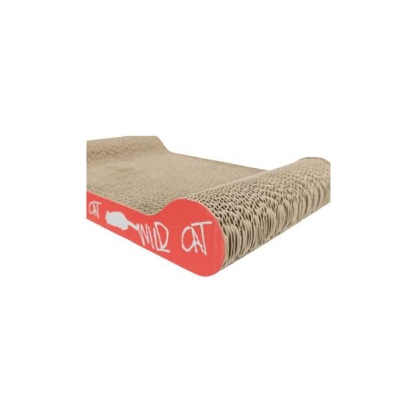 48000-1.jpg Wild Cat Scratching Cardboard