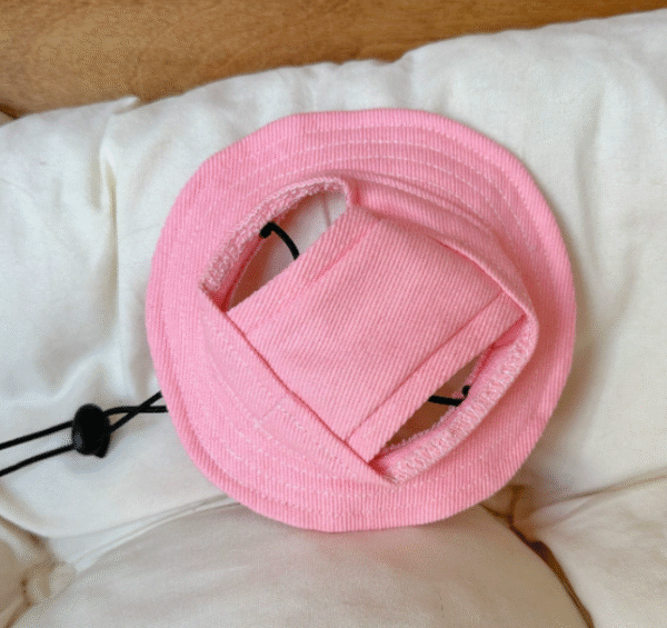 4944d1d5-7ee0-411e-be5f-f5cc2d338a15 Pet Thin Sun Hat