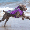 Track Jacket Reflective Safety Dog Vest（Purple）