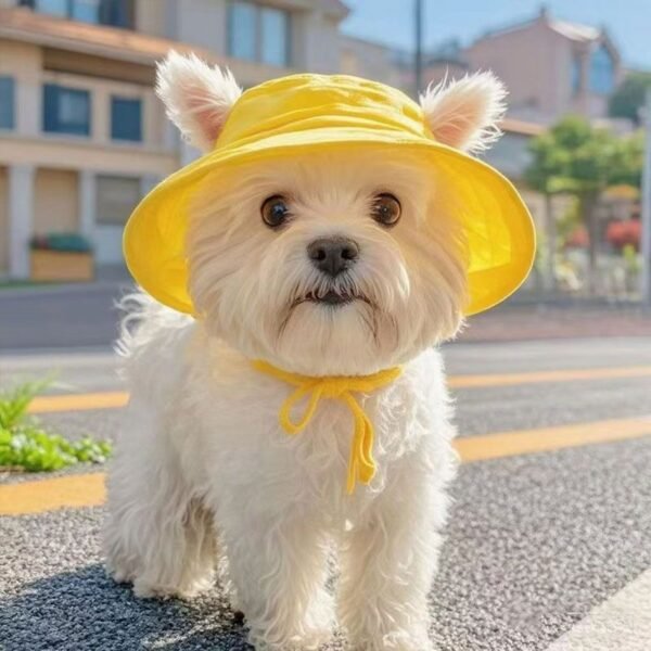 Sun Hat