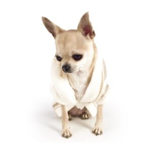 Prince Dog Bathrobe
