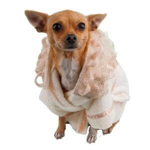 Dog Bathrobe