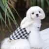 Celebrity-style Pet Clothes