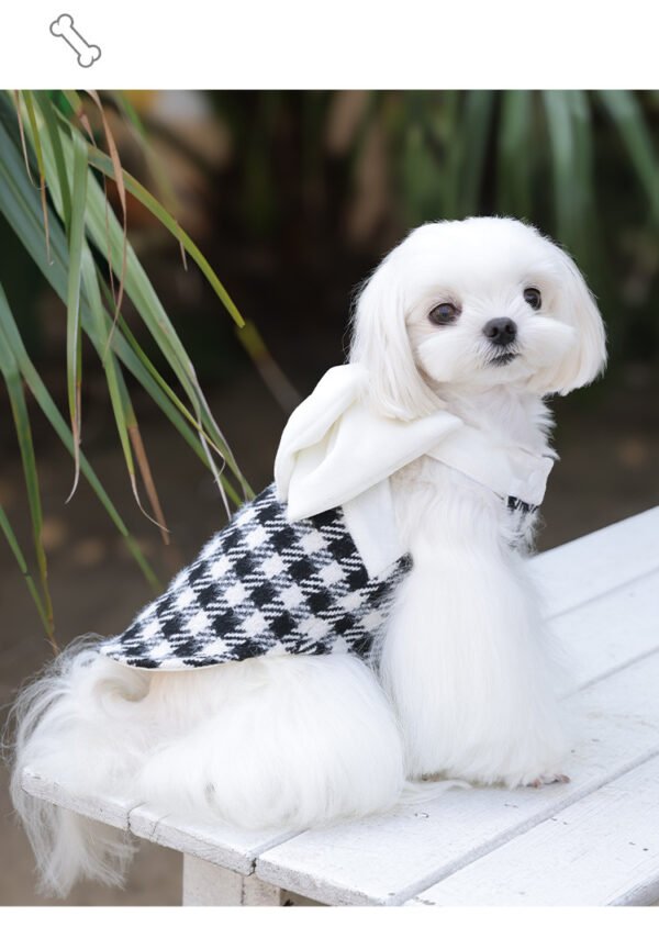 Celebrity-style Pet Clothes