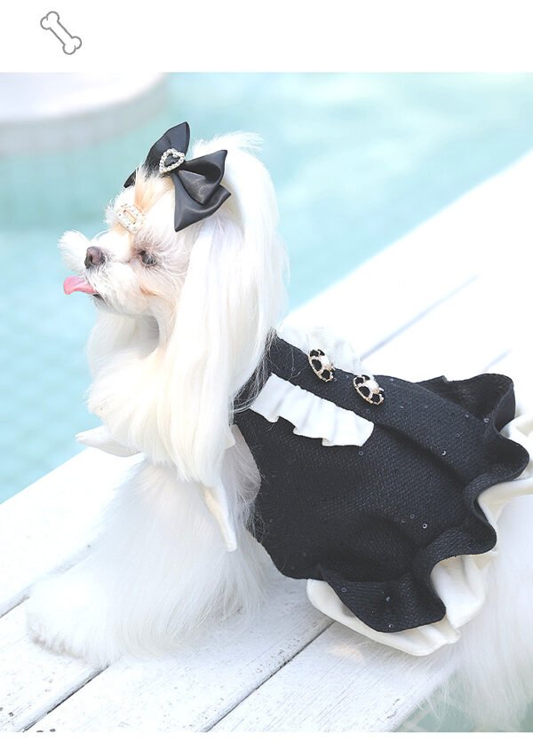 Small Wings Dog Dress