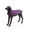 O1CN018xezbs28s6LAIzOuX_!!2214155547987-0-cib Sun Shower Reflective Lightweight Dog Raincoat (Purple)