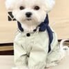 Pet raincoat waterproof four-legged workwear