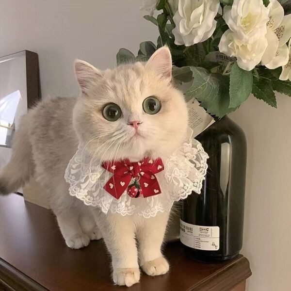 Saliva Towel Pet Scarf(RED)