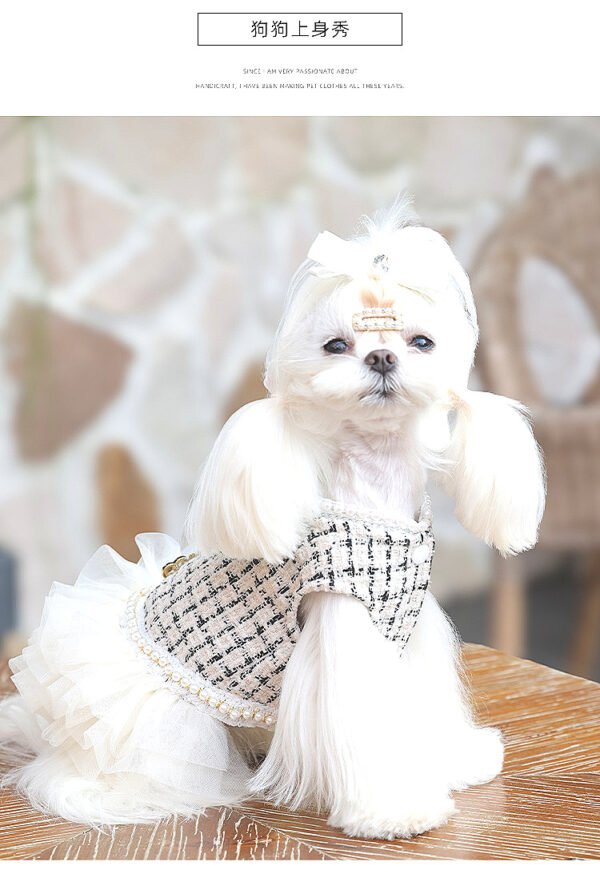 Chanel Style Pet Clothes