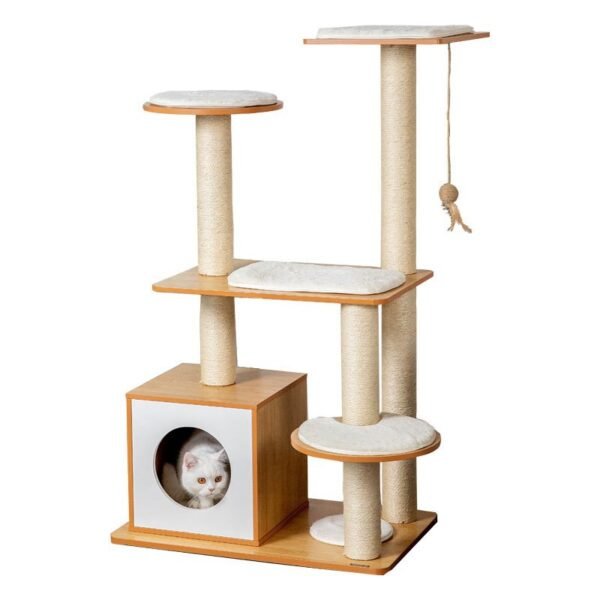 GPBD-19036 Black Cat Condo