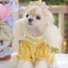 Anti-shedding Puppy Pet Clothing