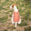 Jet Stream Lightweight Cooling Dog Vest