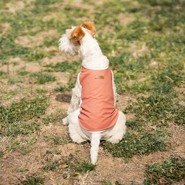 Jet Stream Lightweight Cooling Dog Vest