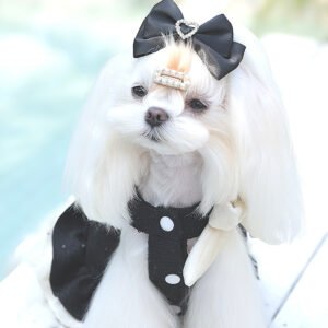 O1CN01QZY8q22G7rNHzl73U_2218824888969-0-cib.jpg Small Wings Dog Dress
