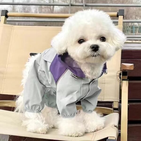 Pet raincoat waterproof four-legged workwear