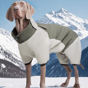 Winter Jacket for Pet Dogs