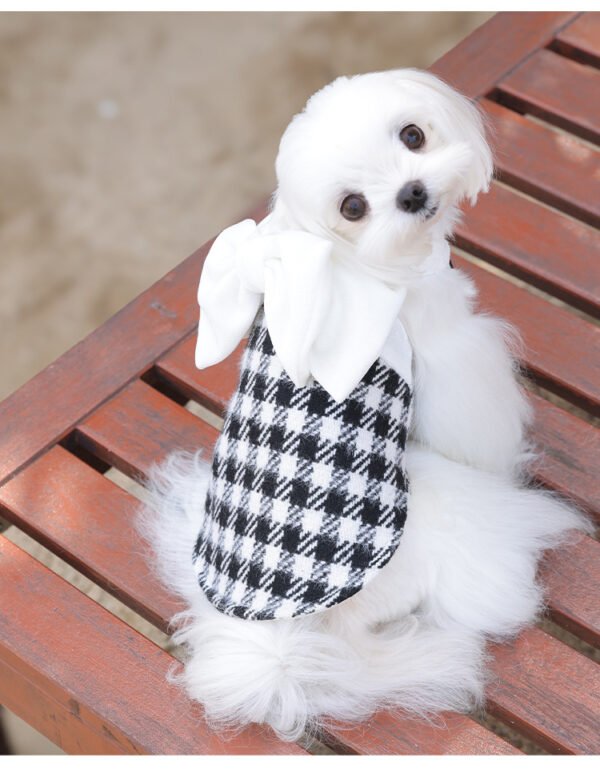 Celebrity-style Pet Clothes