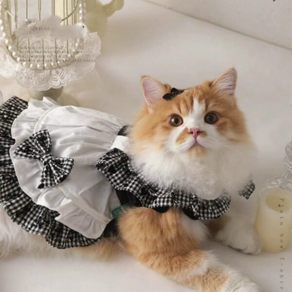 O1CN01ZAo1Ys1IBBC9MKUIy_2217103890854-0-cib.jpg Maid Outfit