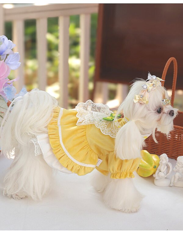 Anti-shedding Puppy Pet Clothing