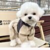 Pet raincoat waterproof four-legged workwear