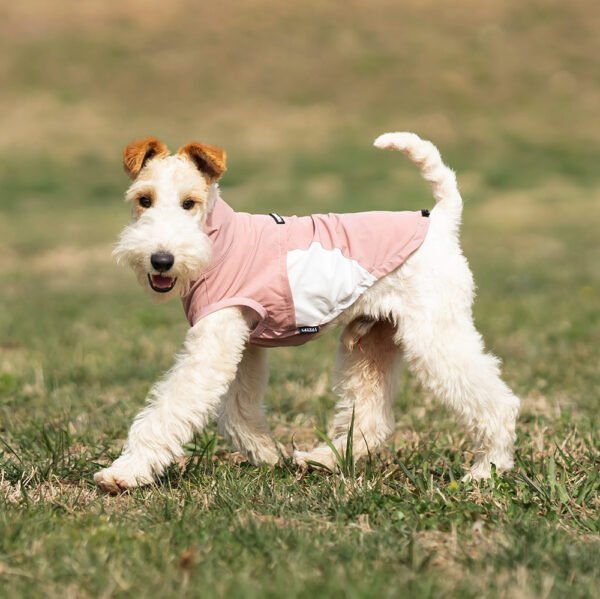Dog Quick-drying Clothes