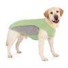 Insect Shield Flea & Tick Cooling Tank (Green)