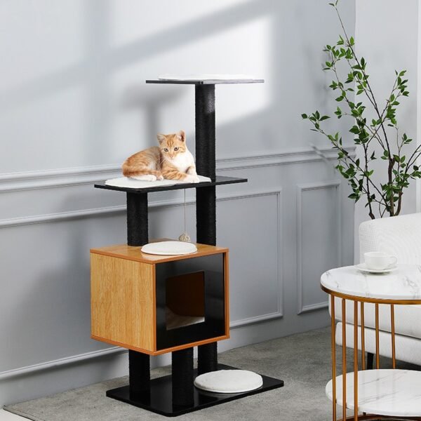 GPBD-19036 Black Cat Condo