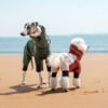 Dog Four-legged Raincoat