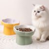 GPTB-71004 Pet Slow Food Bowl