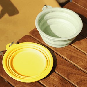 Outdoor Collapsible Bowl