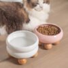 GPTB-71005 Circle Ceramic Cat