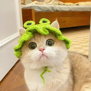 Frog Hat