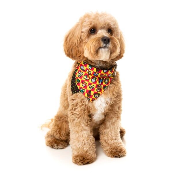 fuzzyard-pet-bandana-doggoforce-lifestyle-1.jpg FuzzYard Pet Bandana (Doggoforce)