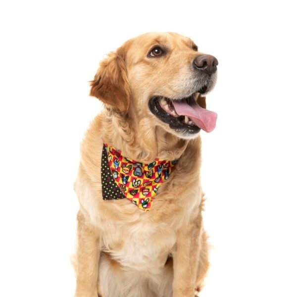fuzzyard-pet-bandana-doggoforce-lifestyle-2.jpg FuzzYard Pet Bandana (Doggoforce)