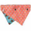 fuzzyard-pet-bandana-fuzz-bear-back-mushroom.jpg GPCD-24009 Pet Bandana (Fuzz Bear)