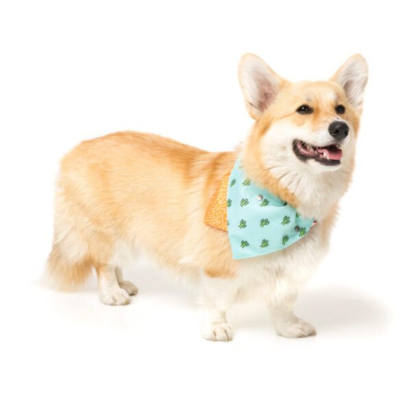 fuzzyard-pet-bandana-tucson-lifestyle-2.jpg FuzzYard Pet Bandana (Tucson)