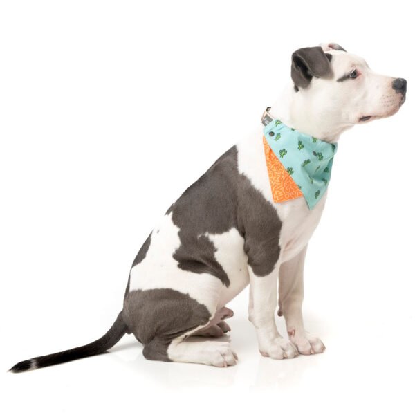 fuzzyard-pet-bandana-tucson-lifestyle-3.jpg FuzzYard Pet Bandana (Tucson)