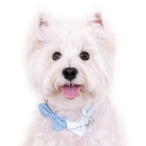 Bow Dog Necklace (Blue)