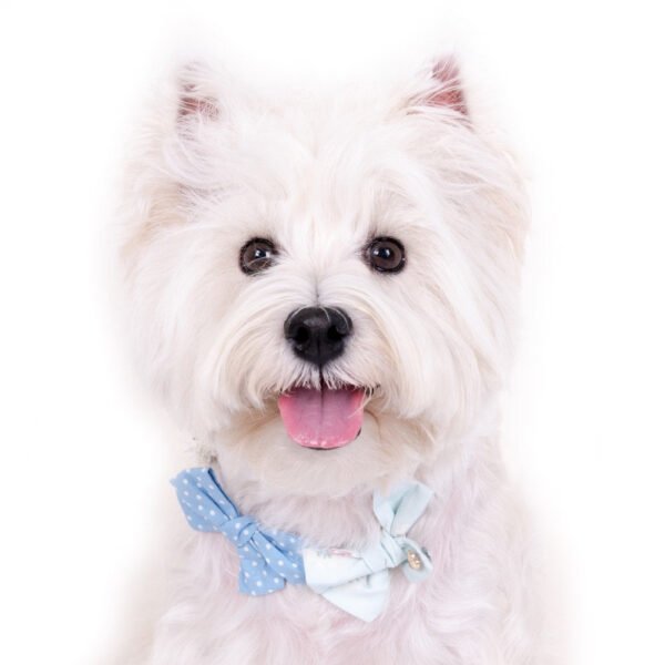 hey-cuzzies-bow-dog-necklace-blue.jpg Bow Dog Necklace (Blue)
