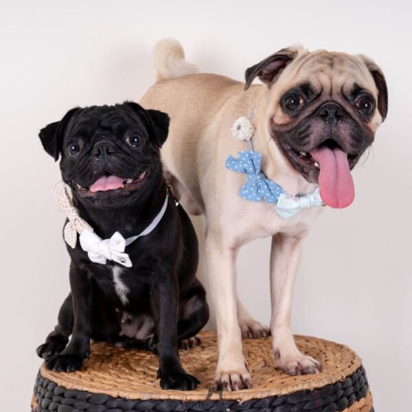 hey-cuzzies-bow-dog-necklace-blue-pug.jpg Bow Dog Necklace (Blue)