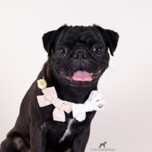 Bow Dog Necklace (Cream)