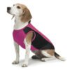 GPCD-24008 Insect Shield Flea & Tick Cooling Tank (Fuchsia)