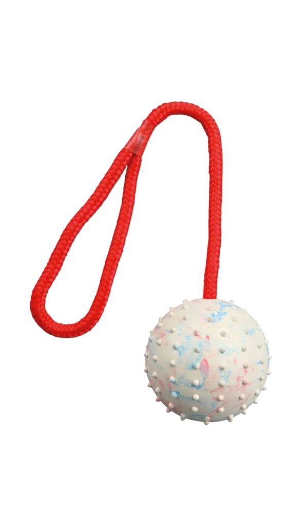 GPTD-72030 Trixie Ball on a Rope