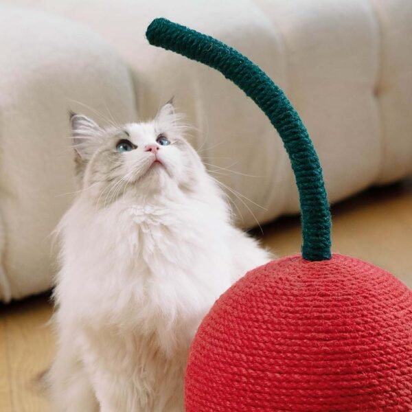 vetreska-cherry-cat-scratching-ball-lifestyle.jpg Cherry Cat Scratching Ball